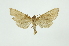  ( - INB0003300603)  @11 [ ] Copyright (2012) Juan Mata Lorenzen INBio