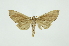  ( - INB0003300605)  @13 [ ] Copyright (2012) Juan Mata Lorenzen INBio