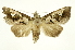  ( - INB0003301116)  @14 [ ] Copyright (2012) Juan Mata Lorenzen Unspecified
