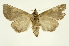  ( - INB0003301116)  @13 [ ] Copyright (2012) Juan Mata Lorenzen Unspecified