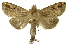  ( - INB0003301125)  @13 [ ] Copyright (2012) Juan Mata Lorenzen Unspecified