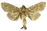 ( - INB0003301125)  @13 [ ] Copyright (2012) Juan Mata Lorenzen Unspecified