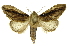  ( - INB0003301321)  @11 [ ] Copyright (2012) Juan Mata Lorenzen Unspecified