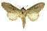  ( - INB0003301321)  @11 [ ] Copyright (2012) Juan Mata Lorenzen Unspecified
