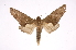 ( - INB0003301561)  @11 [ ] Copyright (2012) I. Chacon Instituto Nacional de Biodiversidad