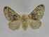  ( - INB0003309079)  @14 [ ] Copyright (2012) J. Montero Instituto Nacional de Biodiversidad