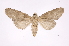  ( - INB0003309815)  @11 [ ] Copyright (2012) I. Chacon Instituto Nacional de Biodiversidad