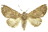  ( - INB0003310619)  @11 [ ] Copyright (2012) Juan Mata Lorenzen INBio