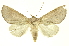  ( - INB0003310619)  @11 [ ] Copyright (2012) Juan Mata Lorenzen INBio