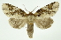  ( - INB0003310622)  @11 [ ] Copyright (2012) Juan Mata Lorenzen Unspecified