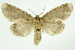  ( - INB0003310622)  @11 [ ] Copyright (2012) Juan Mata Lorenzen Unspecified