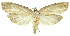  ( - INB0003311689)  @12 [ ] CreativeCommons - Attribution Non-Commercial Share-Alike (2012) National Biodiversity Institute of Costa Rica National Biodiversity Institute of Costa Rica