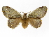  ( - INB0003311724)  @14 [ ] Copyright (2012) J. Montero Instituto Nacional de Biodiversidad
