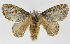  ( - INB0003315748)  @13 [ ] Copyright (2012) J. Montero Instituto Nacional de Biodiversidad