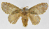  ( - INB0003315748)  @12 [ ] Copyright (2012) J. Montero Instituto Nacional de Biodiversidad