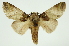  ( - INB0003315912)  @11 [ ] Copyright (2012) Juan Mata Lorenzen Unspecified