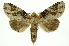 ( - INB0003315917)  @11 [ ] Copyright (2012) Juan Mata Lorenzen Unspecified