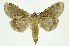  ( - INB0003315917)  @11 [ ] Copyright (2012) Juan Mata Lorenzen Unspecified