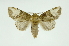  ( - INB0003316699)  @14 [ ] Copyright (2012) Juan Mata Lorenzen Unspecified