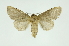  ( - INB0003316699)  @14 [ ] Copyright (2012) Juan Mata Lorenzen Unspecified