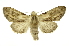 ( - INB0003316716)  @12 [ ] Copyright (2012) Juan Mata Lorenzen Unspecified