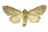  ( - INB0003316716)  @12 [ ] Copyright (2012) Juan Mata Lorenzen Unspecified