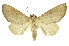  ( - INB0003316720)  @11 [ ] Copyright (2012) Juan Mata Lorenzen INBio