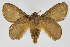  ( - INB0003317115)  @14 [ ] Copyright (2012) J. Montero Instituto Nacional de Biodiversidad