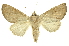  ( - INB0003317296)  @14 [ ] Copyright (2012) Juan Mata Lorenzen INBio