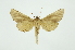  ( - INB0003317774)  @13 [ ] Copyright (2012) Juan Mata Lorenzen INBio