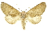  ( - INB0003319466)  @11 [ ] Copyright (2012) Juan Mata Lorenzen INBio