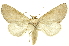  ( - INB0003319466)  @11 [ ] Copyright (2012) Juan Mata Lorenzen INBio