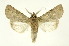  ( - INB0003319696)  @11 [ ] Copyright (2012) Juan Mata Lorenzen Unspecified