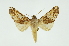  ( - INB0003319697)  @13 [ ] Copyright (2012) Juan Mata Lorenzen Unspecified