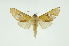  ( - INB0003319699)  @13 [ ] Copyright (2012) Juan Mata Lorenzen Unspecified