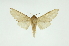  ( - INB0003319699)  @14 [ ] Copyright (2012) Juan Mata Lorenzen Unspecified