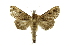  ( - INB0003320247)  @12 [ ] Copyright (2012) Juan Mata Lorenzen Unspecified