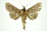  ( - INB0003320247)  @13 [ ] Copyright (2012) Juan Mata Lorenzen Unspecified
