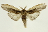  ( - INB0003320270)  @11 [ ] Copyright (2012) Juan Mata Lorenzen Unspecified