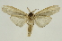  ( - INB0003320270)  @11 [ ] Copyright (2012) Juan Mata Lorenzen Unspecified