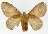  ( - INB0003320782)  @14 [ ] Copyright (2012) J. Montero Instituto Nacional de Biodiversidad