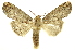  ( - INB0003326021)  @11 [ ] Copyright (2012) Juan Mata Lorenzen Unspecified