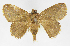  ( - INB0003326752)  @11 [ ] Copyright (2012) J. Montero Instituto Nacional de Biodiversidad