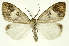  ( - INB0003327103)  @14 [ ] Copyright (2012) Juan Mata Lorenzen Unspecified