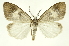  ( - INB0003327103)  @14 [ ] Copyright (2012) Juan Mata Lorenzen Unspecified