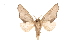  ( - INB0003327184)  @13 [ ] Copyright (2012) I. Chacon Instituto Nacional de Biodiversidad