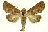  ( - INB0003331660)  @15 [ ] Copyright (2012) Juan Mata Lorenzen INBio