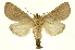 ( - INB0003331660)  @15 [ ] Copyright (2012) Juan Mata Lorenzen INBio