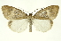  ( - INB0003334470)  @14 [ ] Copyright (2012) Juan Mata Lorenzen Unspecified