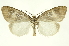  ( - INB0003334470)  @14 [ ] Copyright (2012) Juan Mata Lorenzen Unspecified